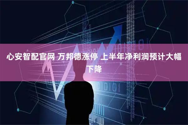 心安智配官网 万邦德涨停 上半年净利润预计大幅下降