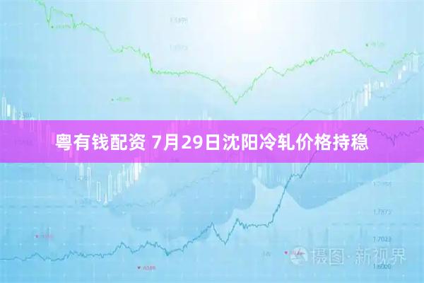 粤有钱配资 7月29日沈阳冷轧价格持稳